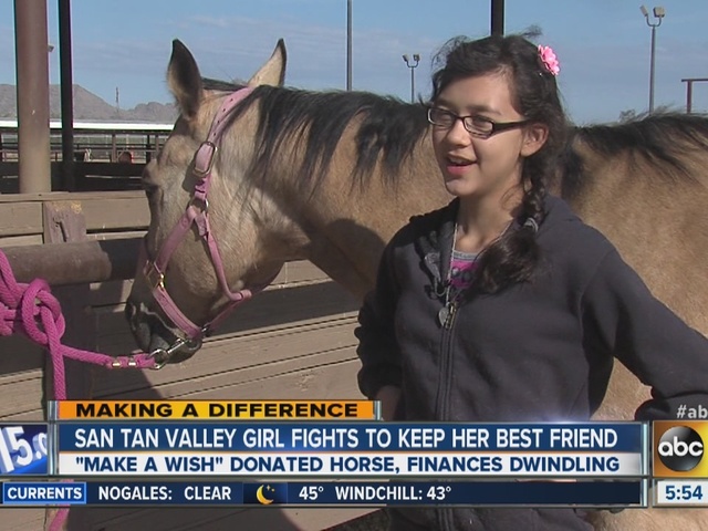 San Tan horse
